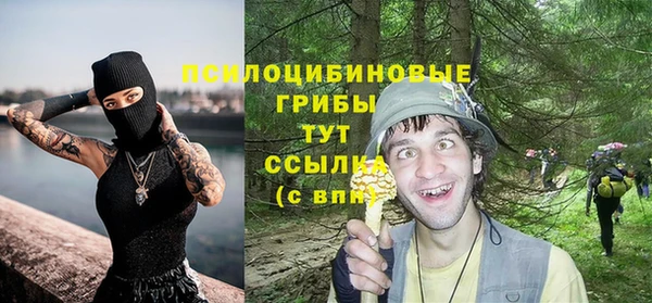 дживик Костерёво