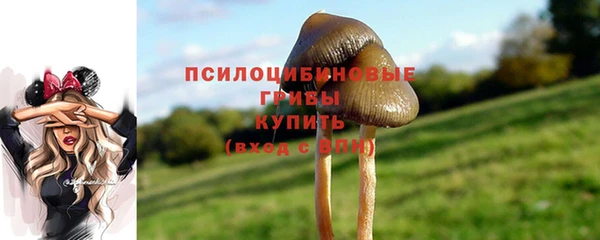 первитин Красноперекопск