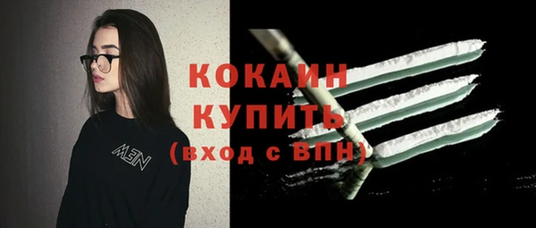 дживик Костерёво