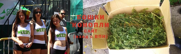 дживик Костерёво